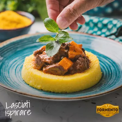 Spezzatino con polenta concia